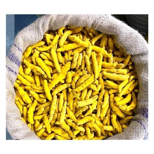 A sack of turmeric fingers, sourced and ready for export.