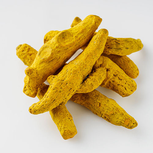 Dried turmeric fingers, cleaned and ready for grading.